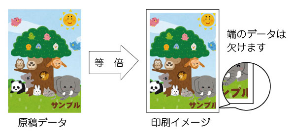 等倍印刷オプション